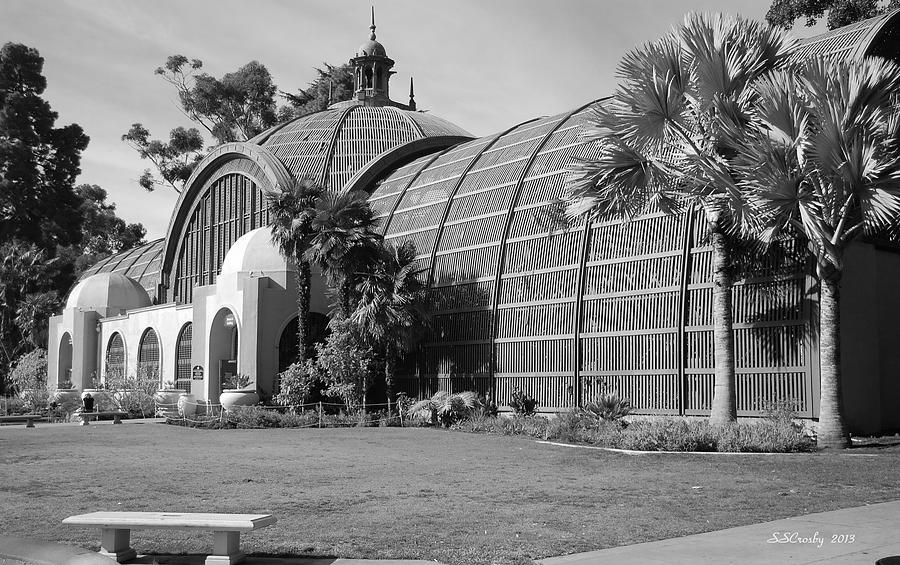 San Diego Bontanical Garden Photograph by Susan Stevens Crosby