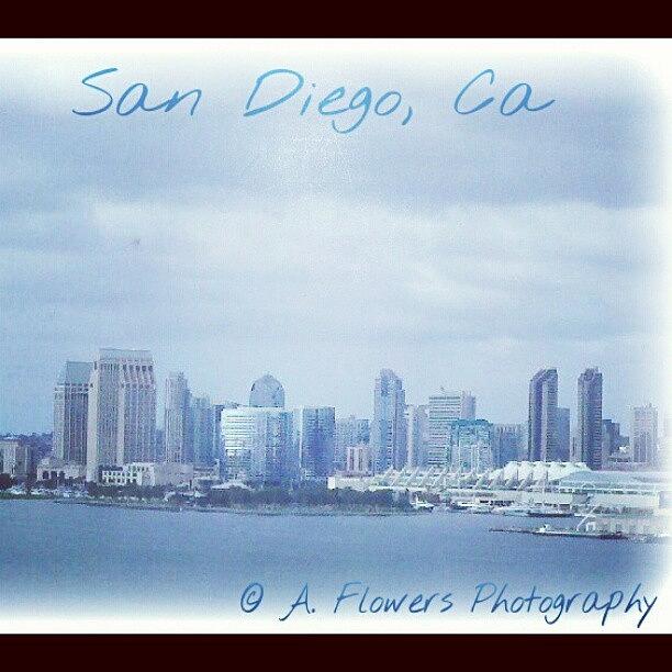 San Diego, Ca Photograph by Ashley Flowers