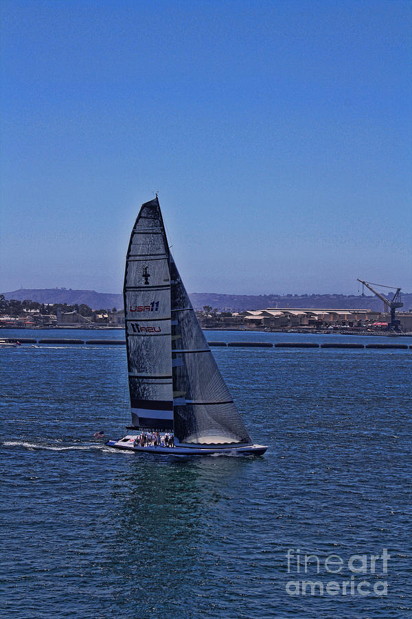 San Diego Harbor Sailing Photograph by Tommy Anderson