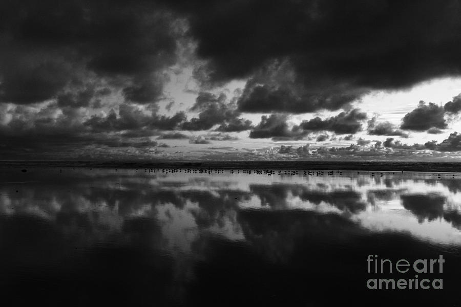 Landscape Photograph - Cardiff Shorebird Mirror by John F Tsumas