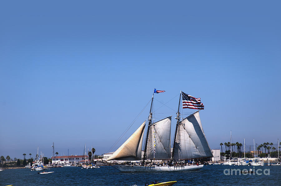 San Diego Sailing Photograph by Brenda Kean