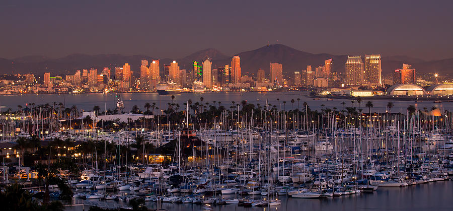 San Diego Photograph - San Diego Skyline by Alexis Birkill