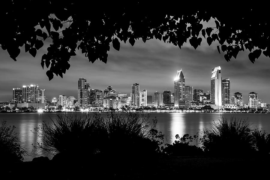 San Diego Skyline Framed 2 Black and White Photograph by Lee Kirchhevel