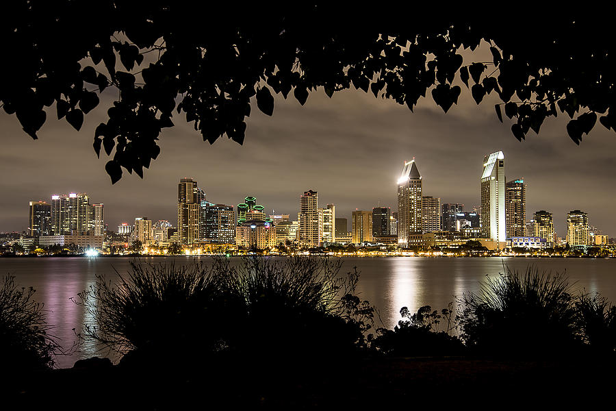 San Diego Skyline Framed 2 Photograph by Lee Kirchhevel