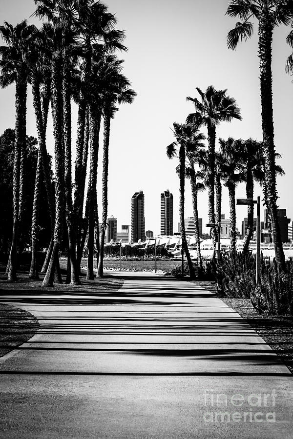 San Diego Skyline from Coronado Island in Black and White Photograph by Paul Velgos