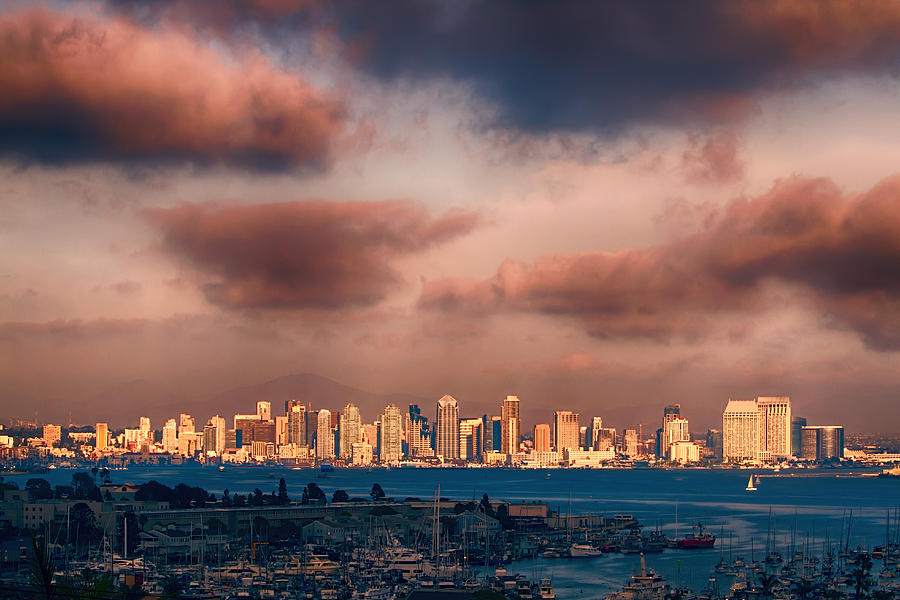 San Diego Photograph - San Diego Skyline by John Haldane