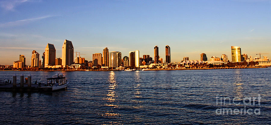San Diego Photograph - San Diego Skyline by Tommy Anderson