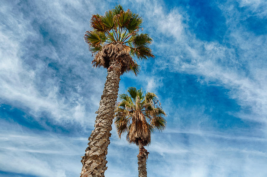 San Diego Winter Sky - Carlsbad - San Diego - California Photograph by Bruce Friedman