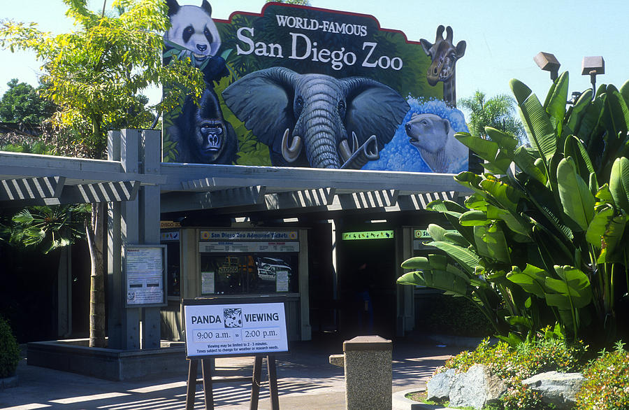 San Diego Zoo Photograph by Greg Ochocki