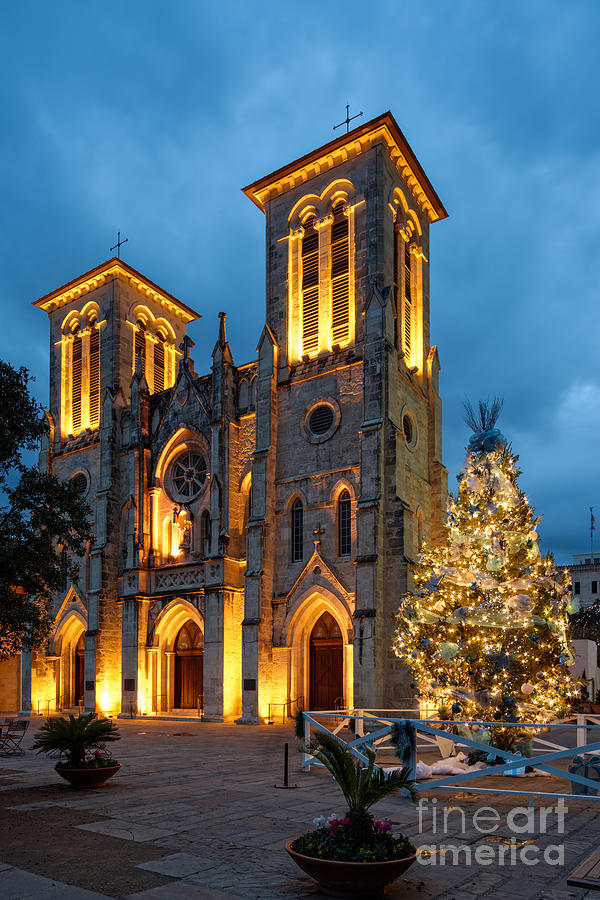 San Fernando Cathedral and Christmas Tree Main Plaza - San Antonio Texas Photograph by Silvio Ligutti