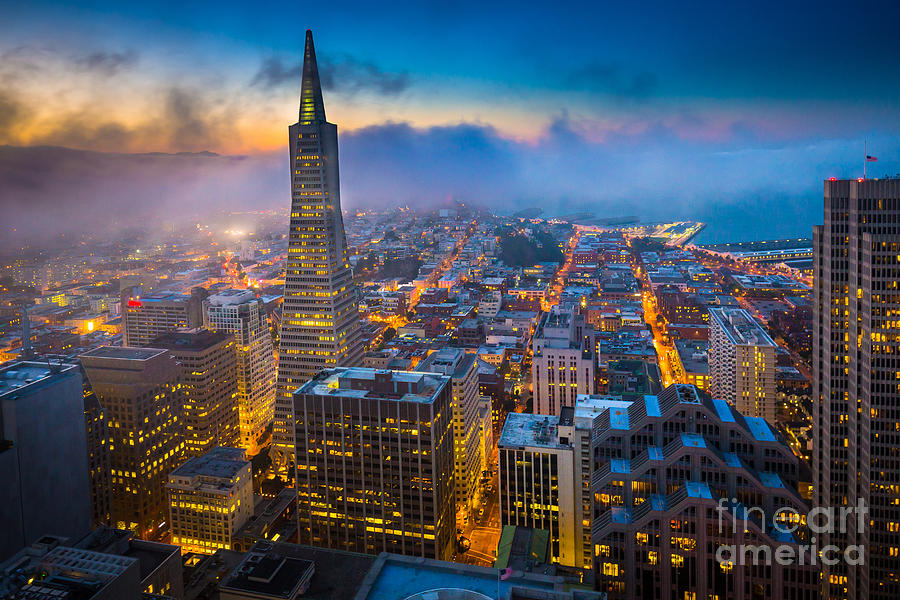 San Francisco After Dark Photograph by Inge Johnsson