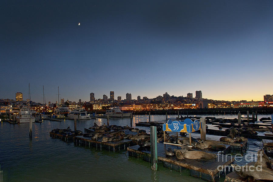 City Scene Photograph - San Francisco at Night Pier 39 by Artist and Photographer Laura Wrede