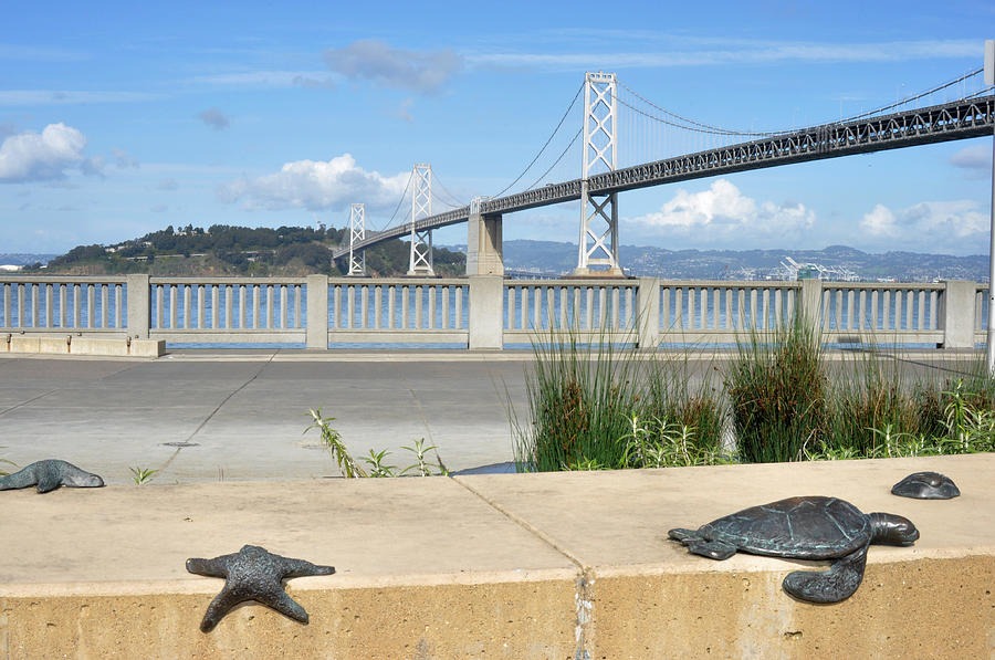 San Francisco Bay Bridge Photograph by Diane Lent