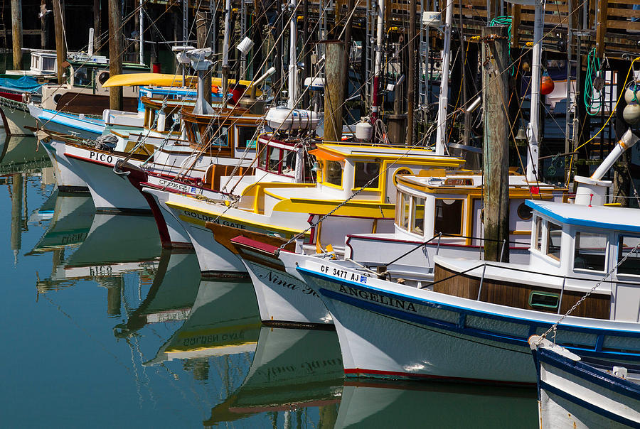 San Francisco Boats Photograph by Michael Hope