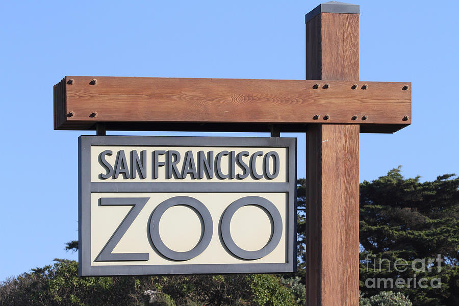 San Francisco California Zoo 7D27408 Photograph by Wingsdomain Art and Photography