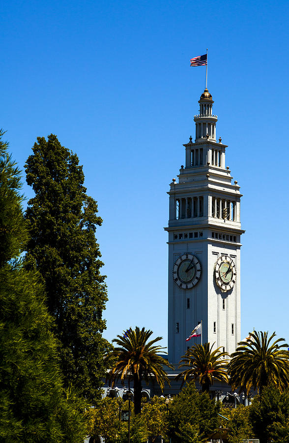 San Francisco Clock Tower Photograph by SFPhotoStore - Fine Art America