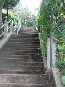 San Francisco Coit Tower Stairs Photograph by Christine Delgado | Pixels