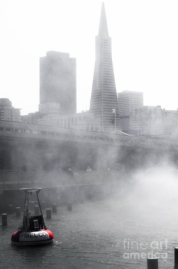 San Francisco Fog Photograph by Amy Fearn