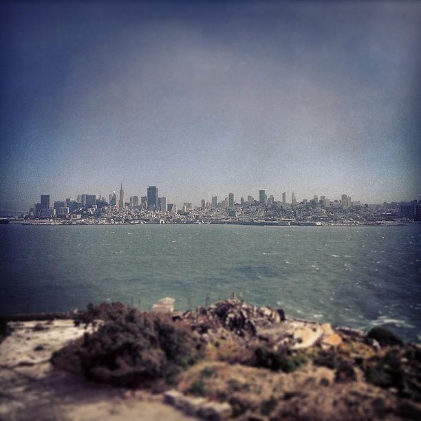 Sanfrancisco Photograph - San Francisco From Alcatraz Island by Maureen Bates