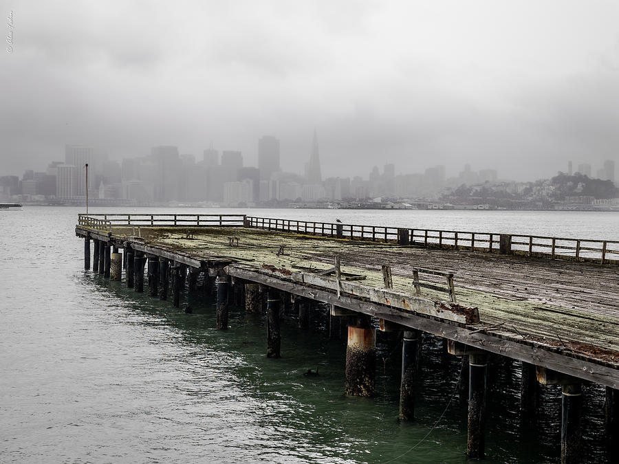 San Francisco from Treasure Island Photograph by Alexander Fedin