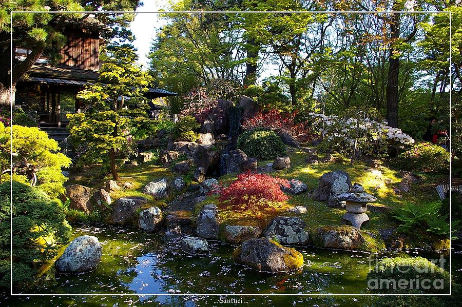 San Francisco Golden Gate Park Japanese Tea Garden 2 Photograph By