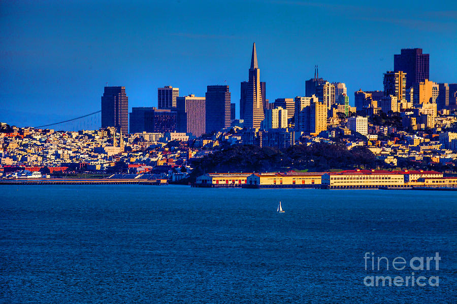 San Francisco in Blue Photograph by Steven Reed