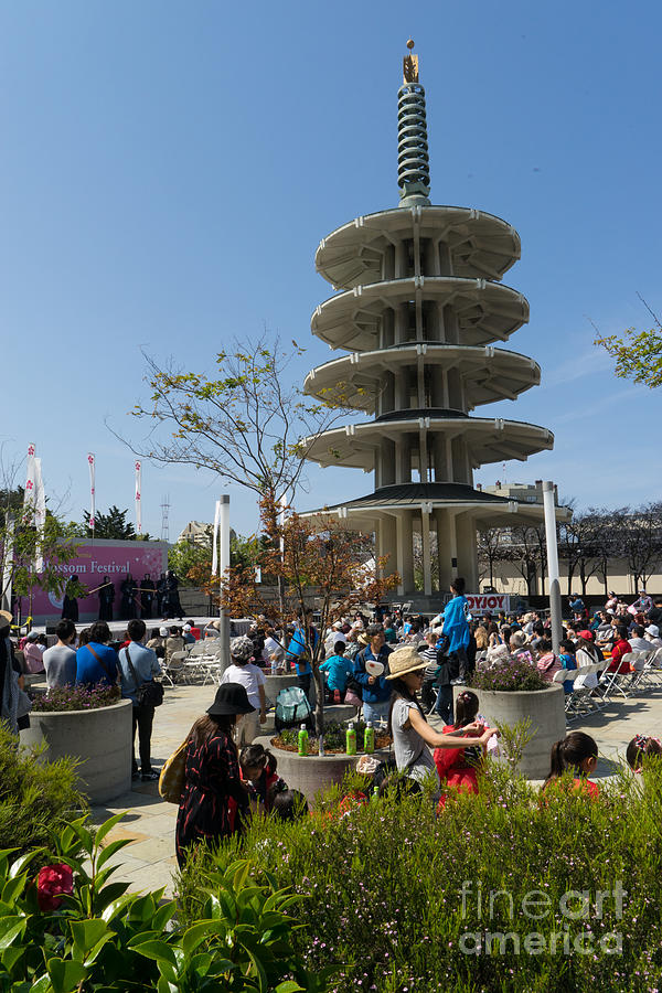 San Francisco Japantown Cherry Blossom Festival DSC986 Photograph by Wingsdomain Art and Photography