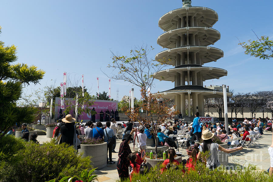 San Francisco Japantown Cherry Blossom Festival DSC988 Photograph by Wingsdomain Art and Photography
