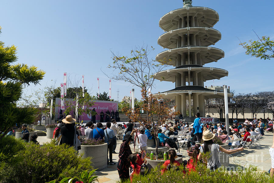 San Francisco Japantown Cherry Blossom Festival Dsc988 Photograph By 