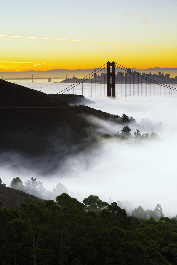 San Francisco Morning Fog Photograph