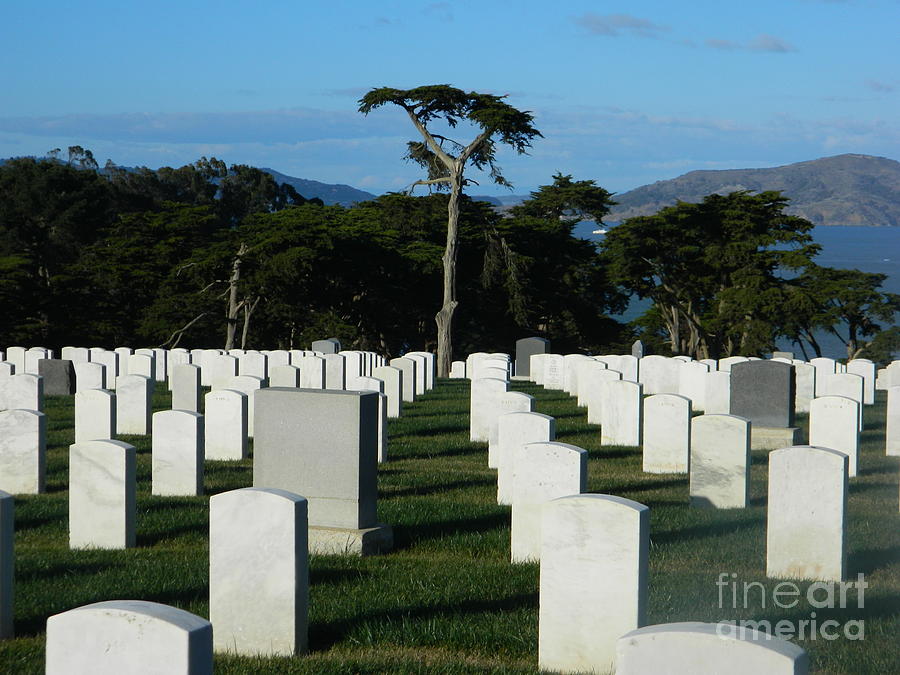 San Francisco National Cemetery Photograph by Emmy Vickers