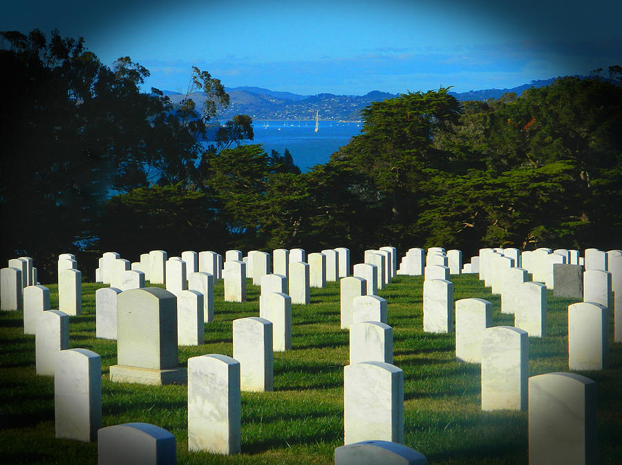 San Francisco National Cemetery In El Presidio Photograph by Emmy Vickers