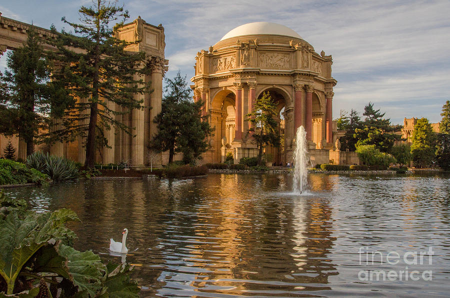 San Francisco Palace of Fine Arts Photograph by Amy Fearn