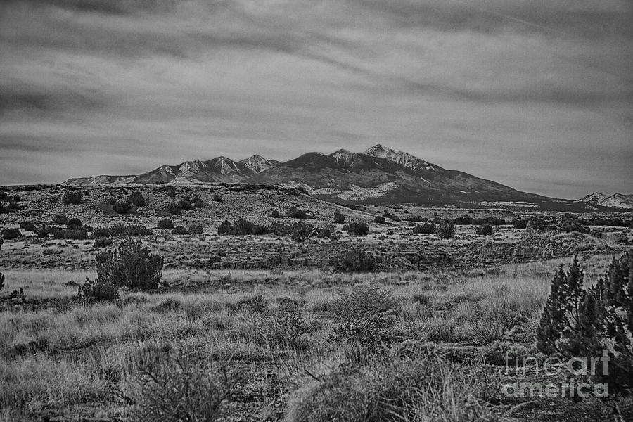 San Francisco Peaks-black And White Photograph By Douglas Barnard - Pixels