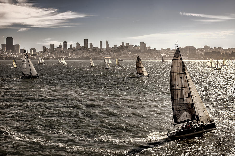 San Francisco Sails Photograph by Diana Powell