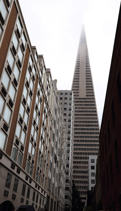 San Francisco Sharp Shape Photograph by Viktor Savchenko