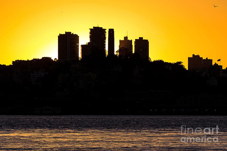 San Francisco Silhouette Photograph by Kate Brown