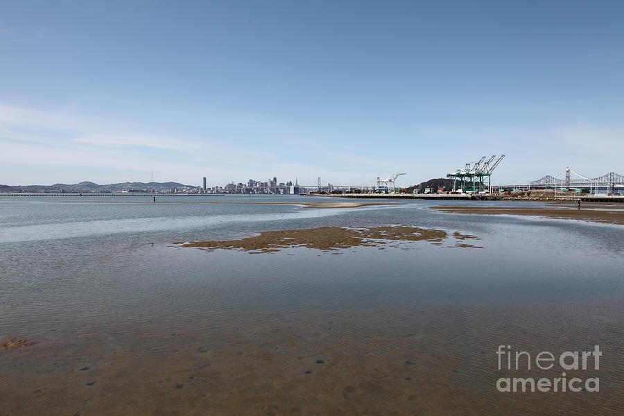 San Francisco Skyline and The Bay Bridge Through The Port of Oakland 5D22242 Photograph by Wingsdomain Art and Photography