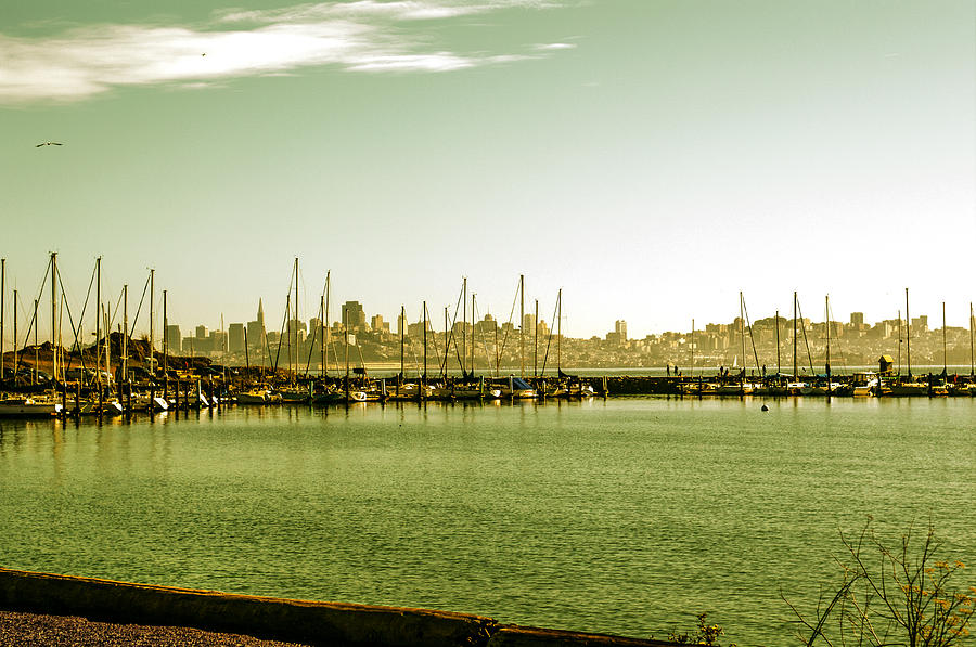San Francisco Photograph - San Francisco Skyline Day by SFPhotoStore  