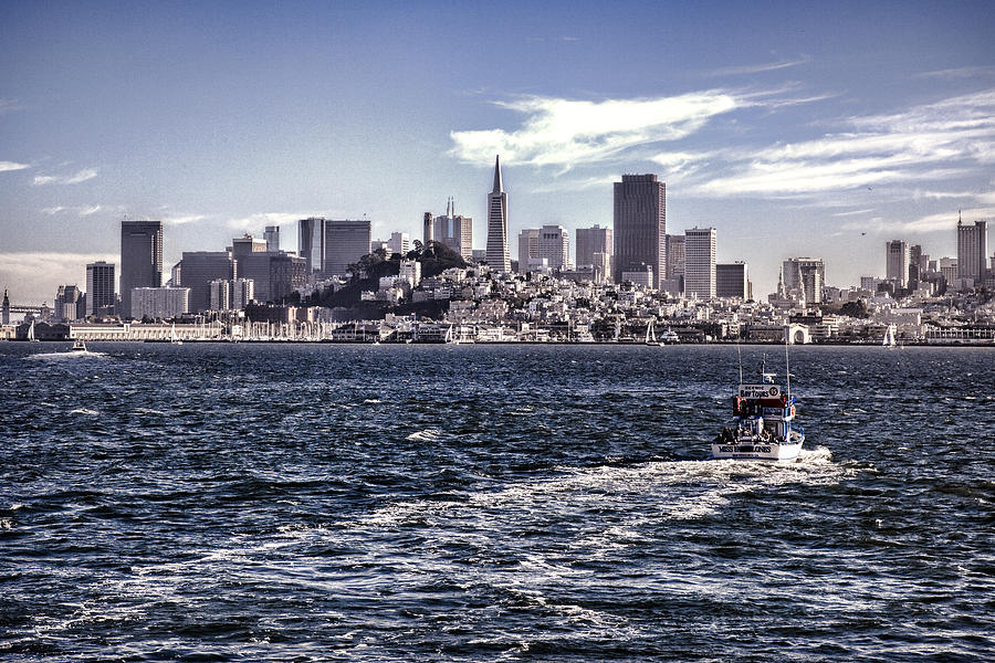 San Francisco Skyline Photograph by Diana Powell