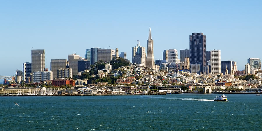San Francisco Skyline Photograph by Kelley King