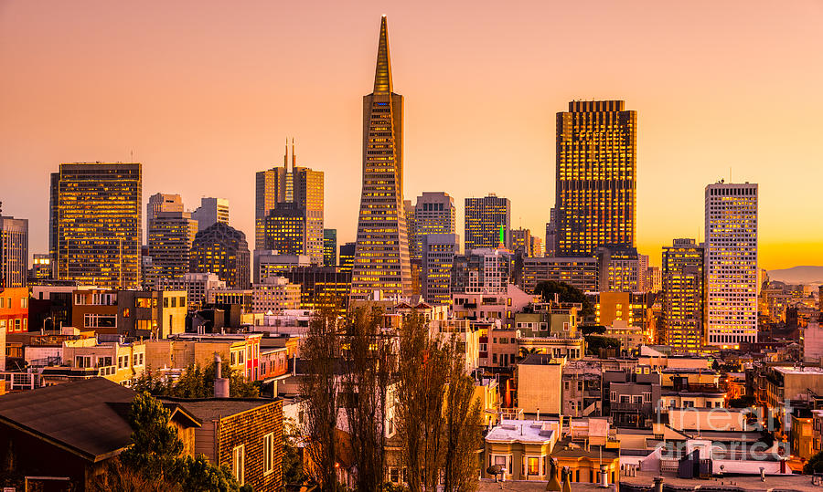San Francisco skyline Photograph by Luciano Mortula