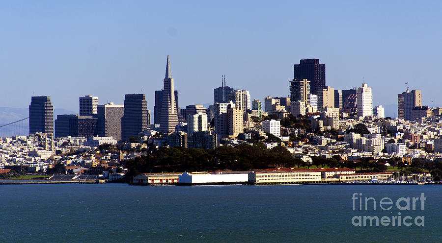 San Francisco Skyline Digital Art by Pravine Chester