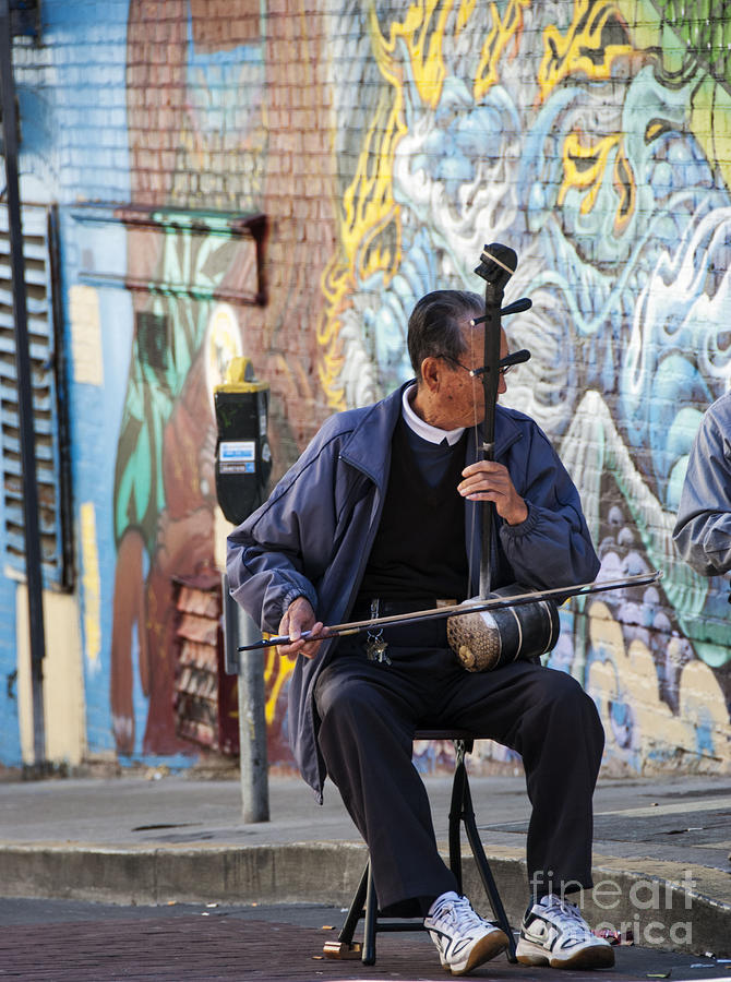 San Francisco Street Musician Photograph by Juli Scalzi