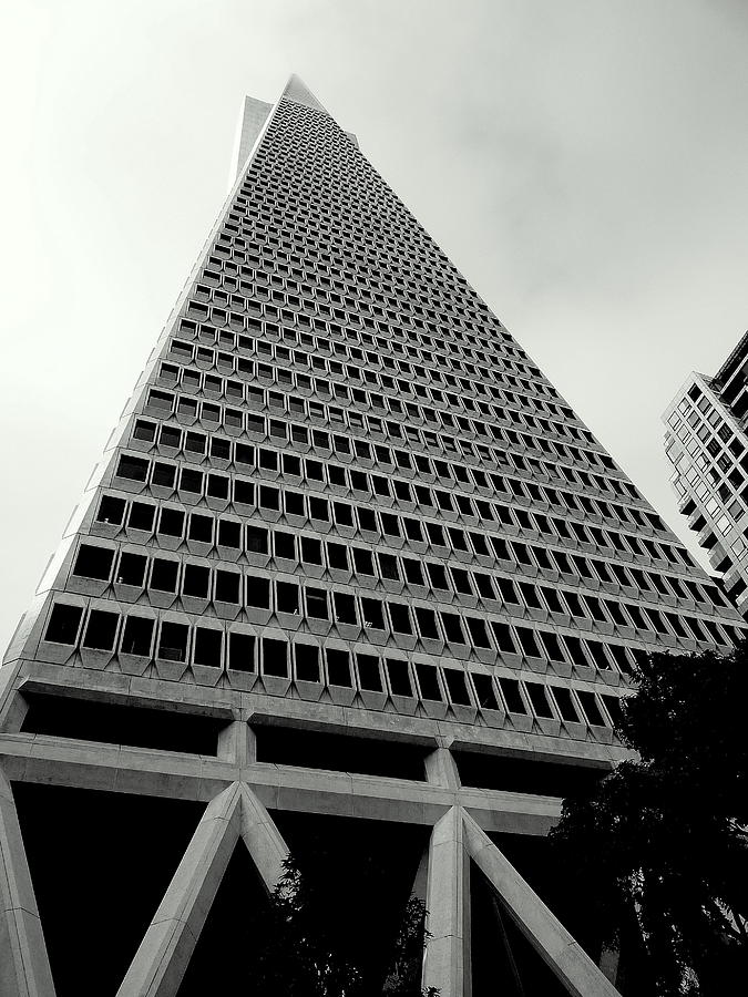 San Francisco TranAmerica Tower Photograph by Jeff Lowe