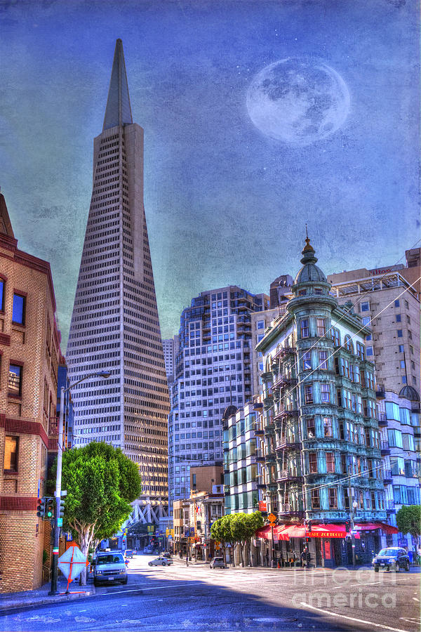 San Francisco Photograph - San Francisco Transamerica Pyramid and Columbus Tower view From North Beach by Juli Scalzi