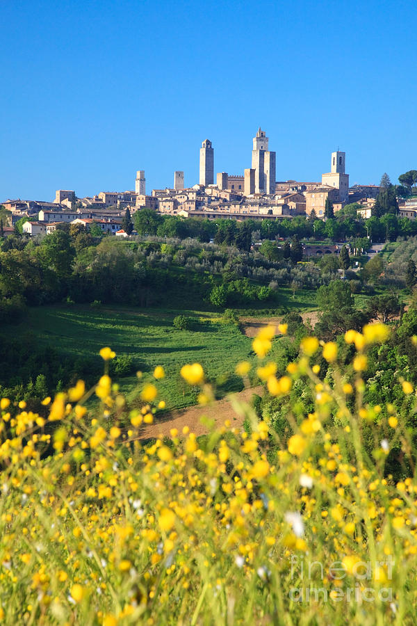 San Gimignano in spring - Tuscany - Italy Photograph by Matteo Colombo
