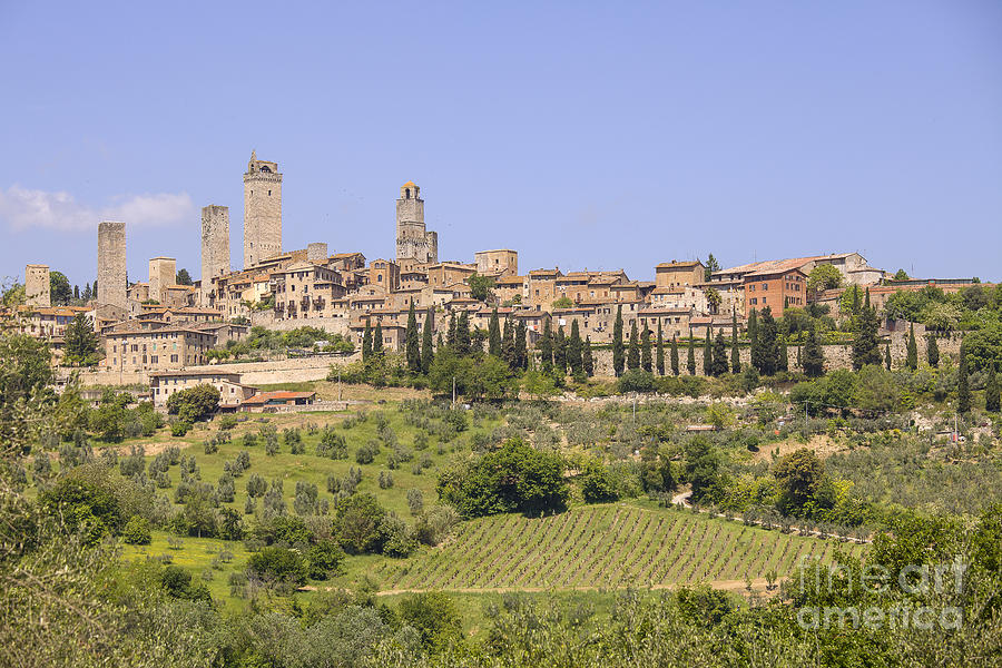 Castle Photograph - San Gimignano with vineyards by Patricia Hofmeester