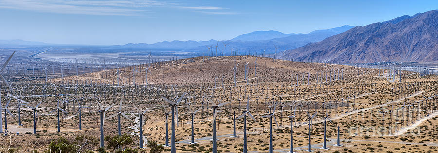 San Gorgonio Pass Palm Springs Wind turbines Photograph by David Zanzinger