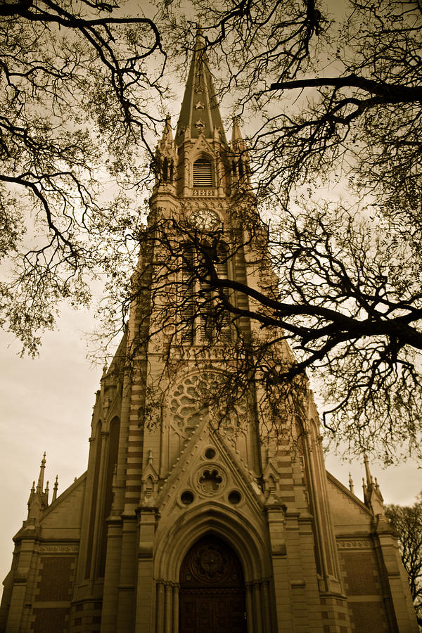 San Isidro Cathedral Sepia Version Photograph by Venetia Featherstone-Witty